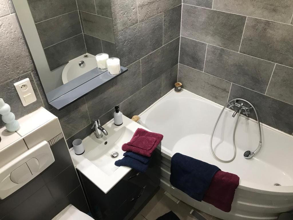 Bel Appartement Lumineux Avec Exterieur Rosieres-aux-Salines Exteriör bild